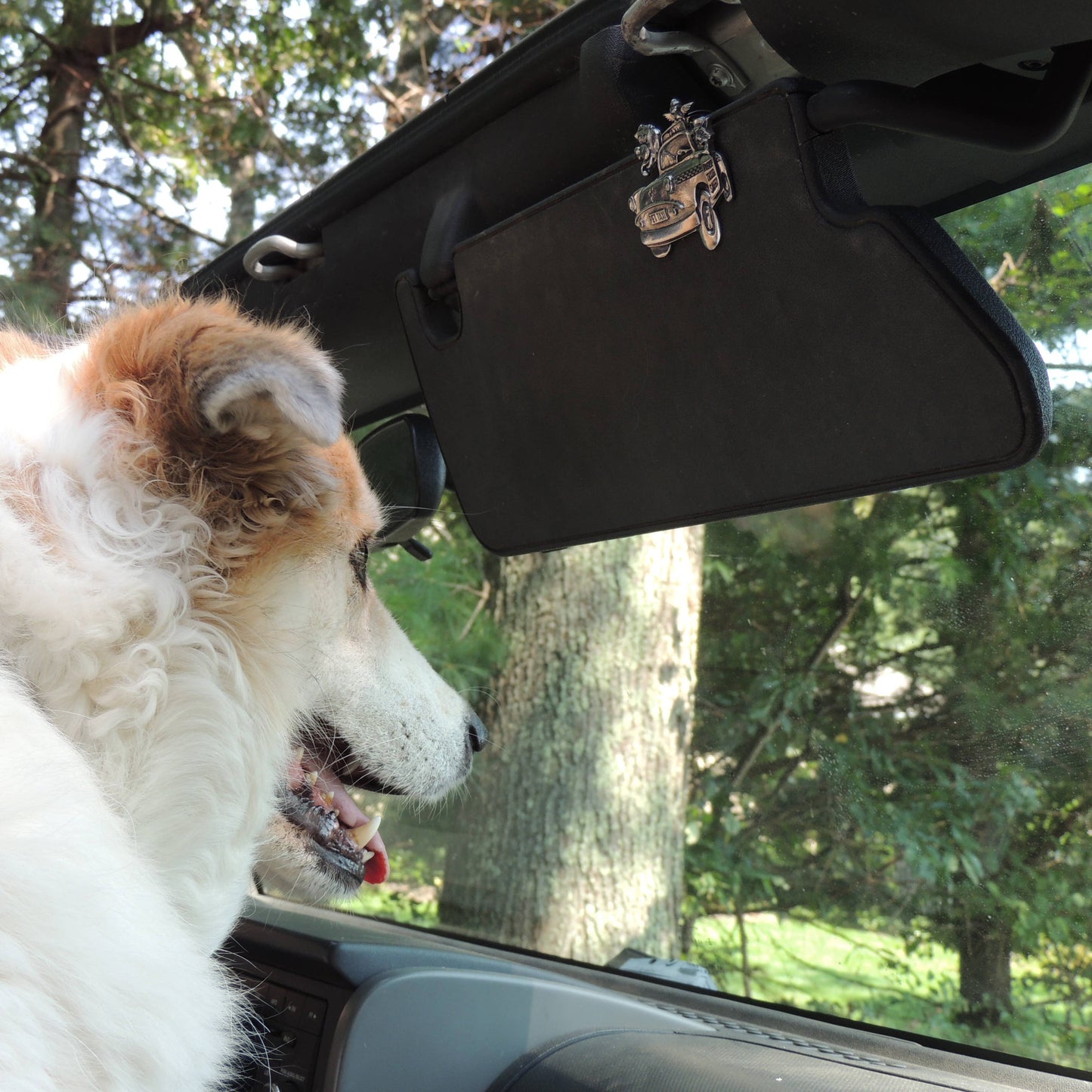 Pet Taxi Visor Clip