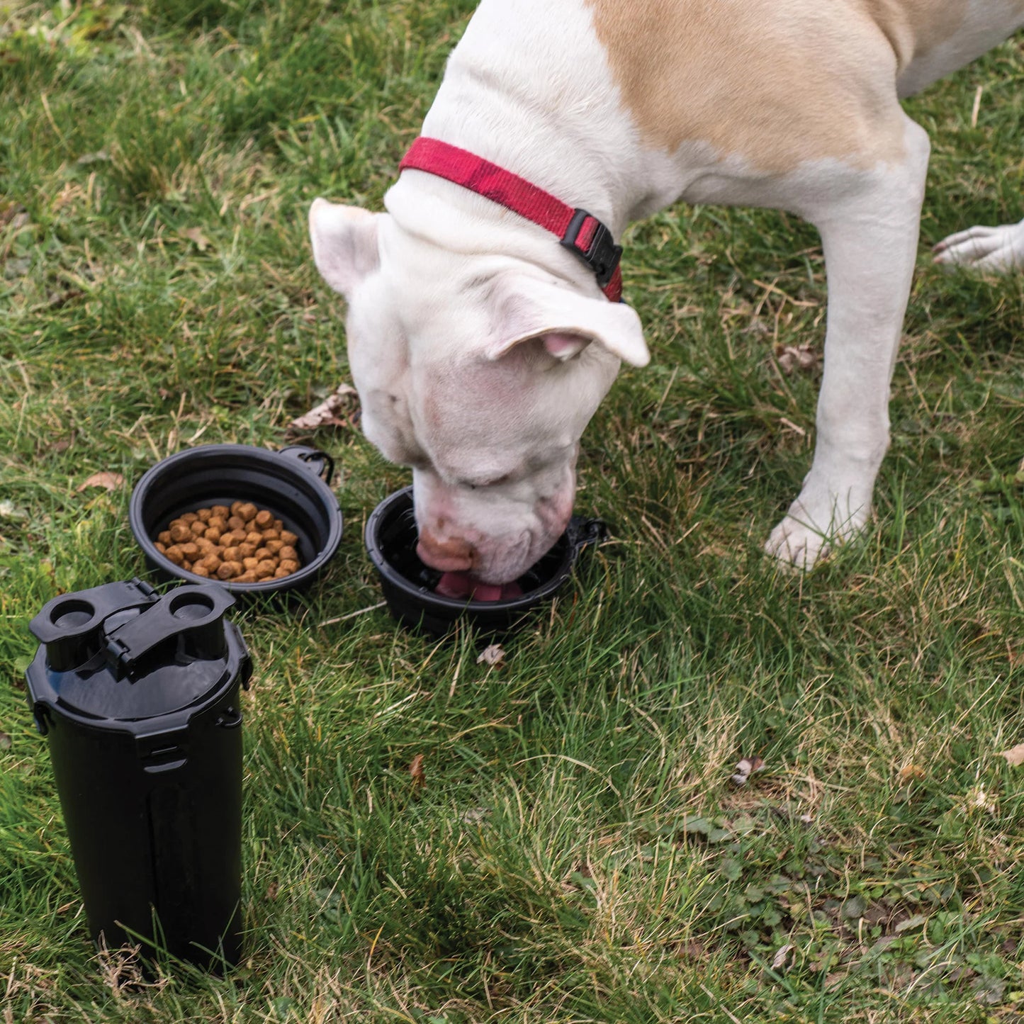 Doggie Duo - Food & Water Storage