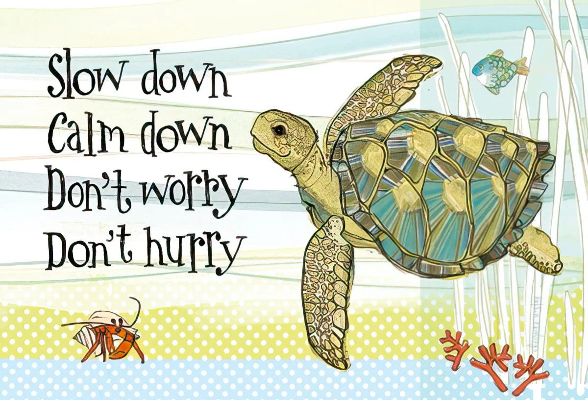 Slow Down Calm Down Don't Worry Don't Hurry Turtle Magnet | Encouraging Magnet