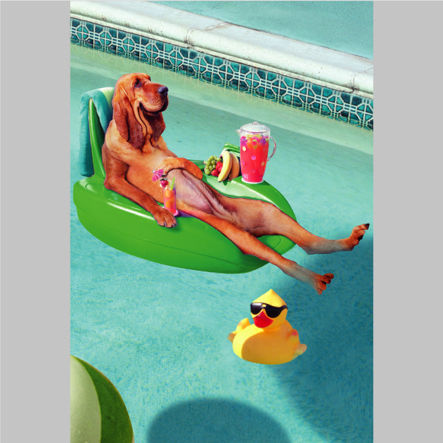 Dog in Pool Birthday Card
