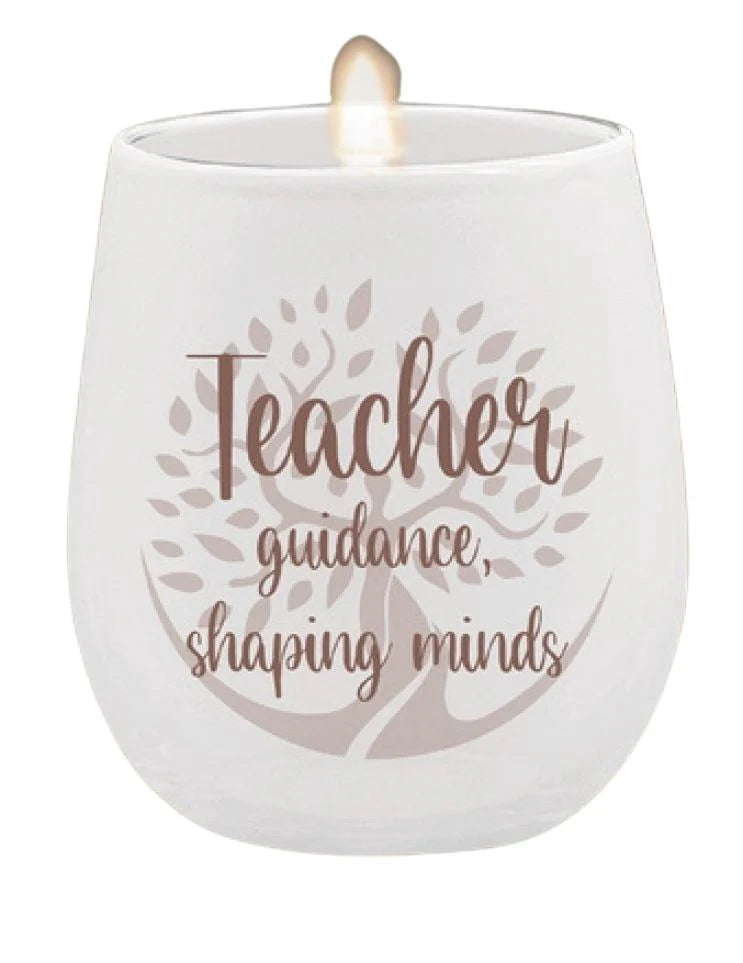Teacher guidance shaping minds