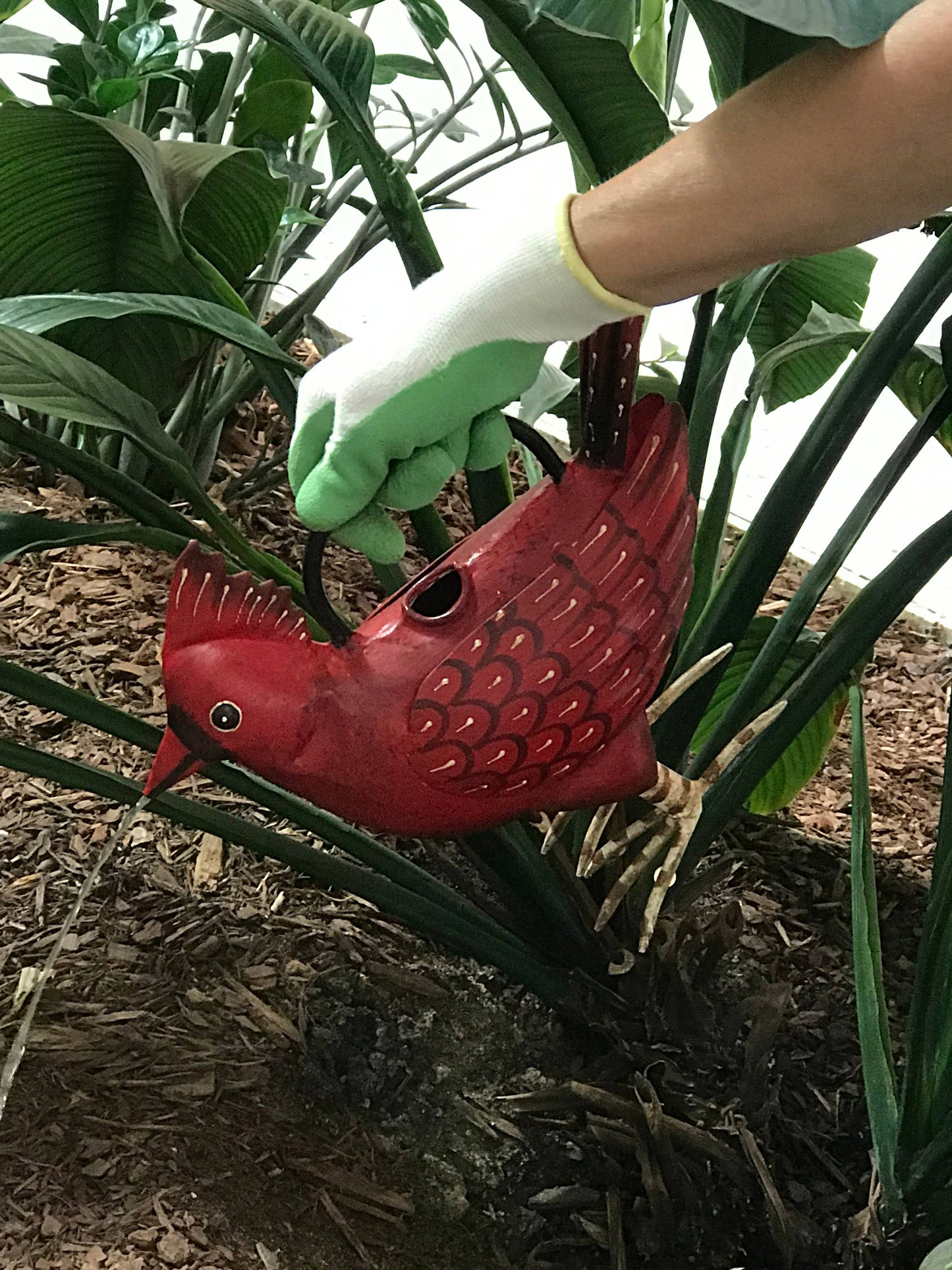 Cathy The Christmas Cardinal Plant Pals Water Can