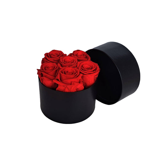 6 Long-Stem Preserved Roses in Velvet Box by La Rose
