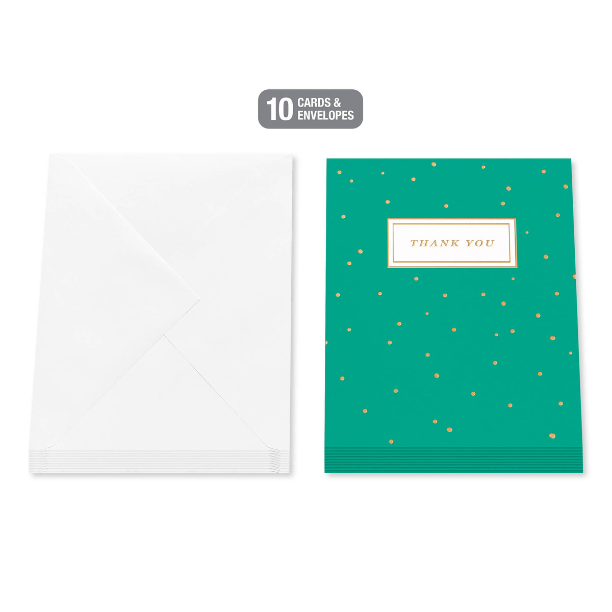 Thank You Card Stationery Notes, Dots on Green (10-Count)