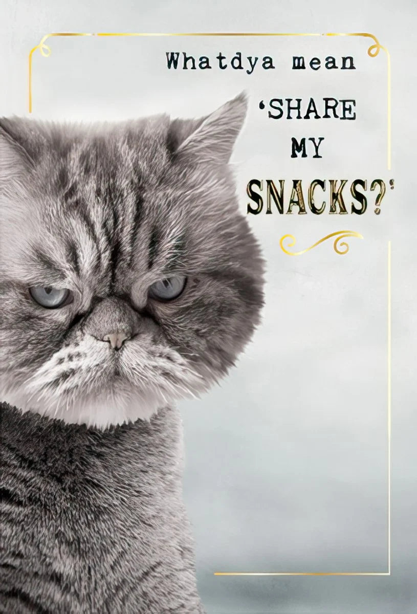Funny Grumpy Cat 'Share My Snacks?' Magnet | Funny Magnet