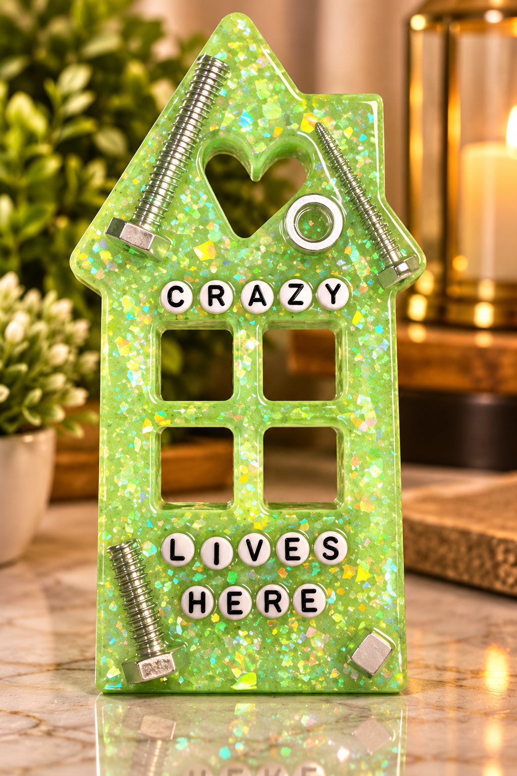 Crazy Lives Here sitter
