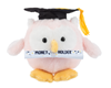 Graduation “Owl” Money Holder Plush