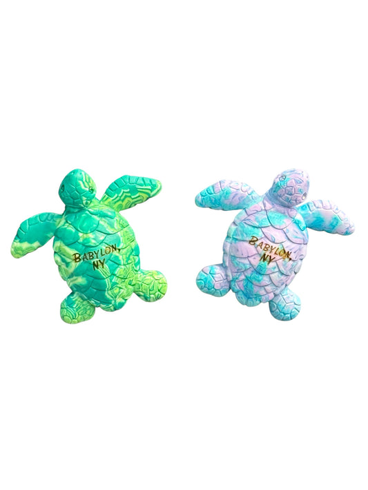 Babylon, NY Sea Turtle Magnet