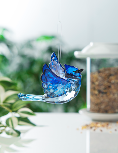 Blue Jay w/ Charm