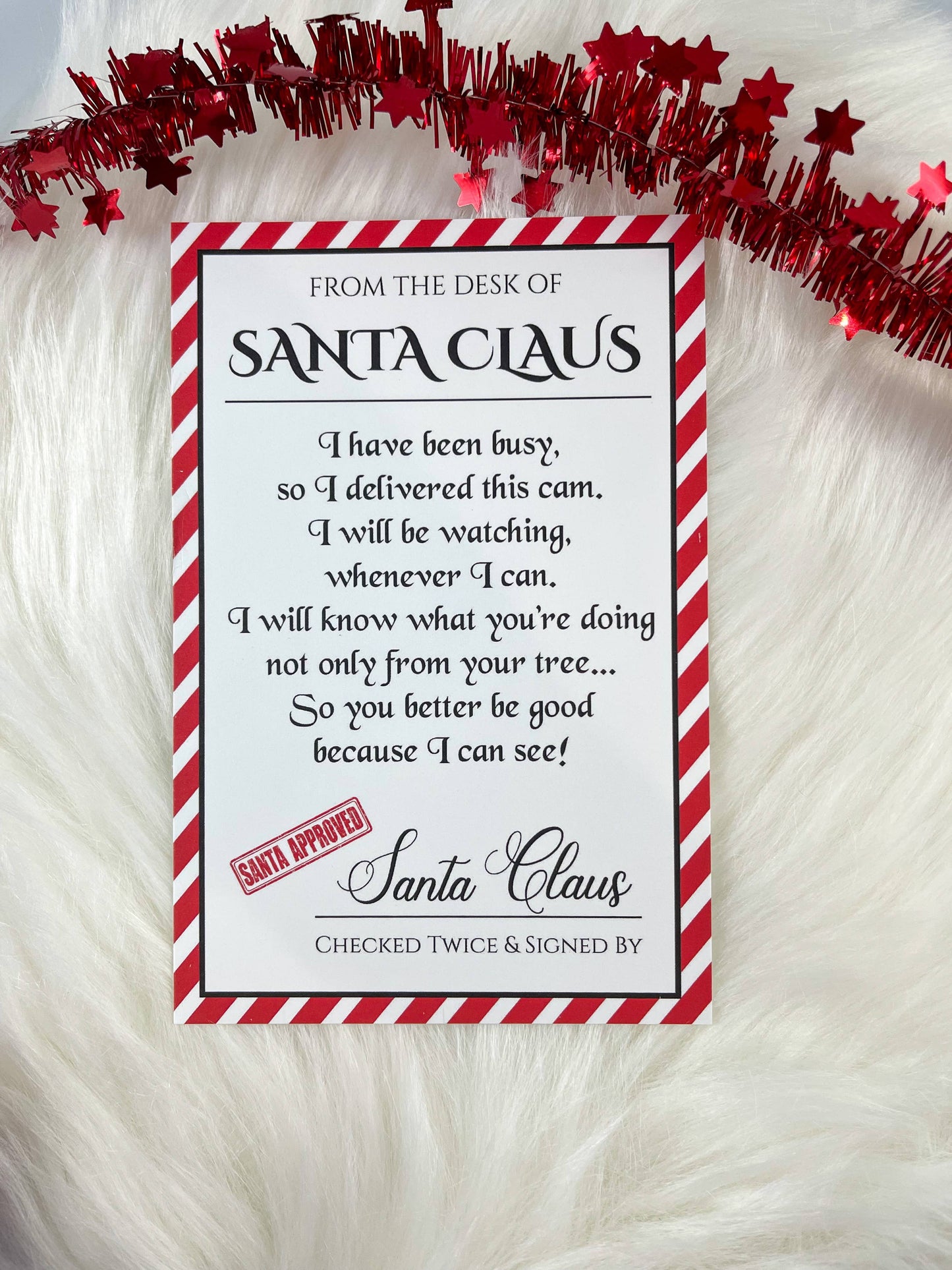 Santa Cam Christmas Ornament