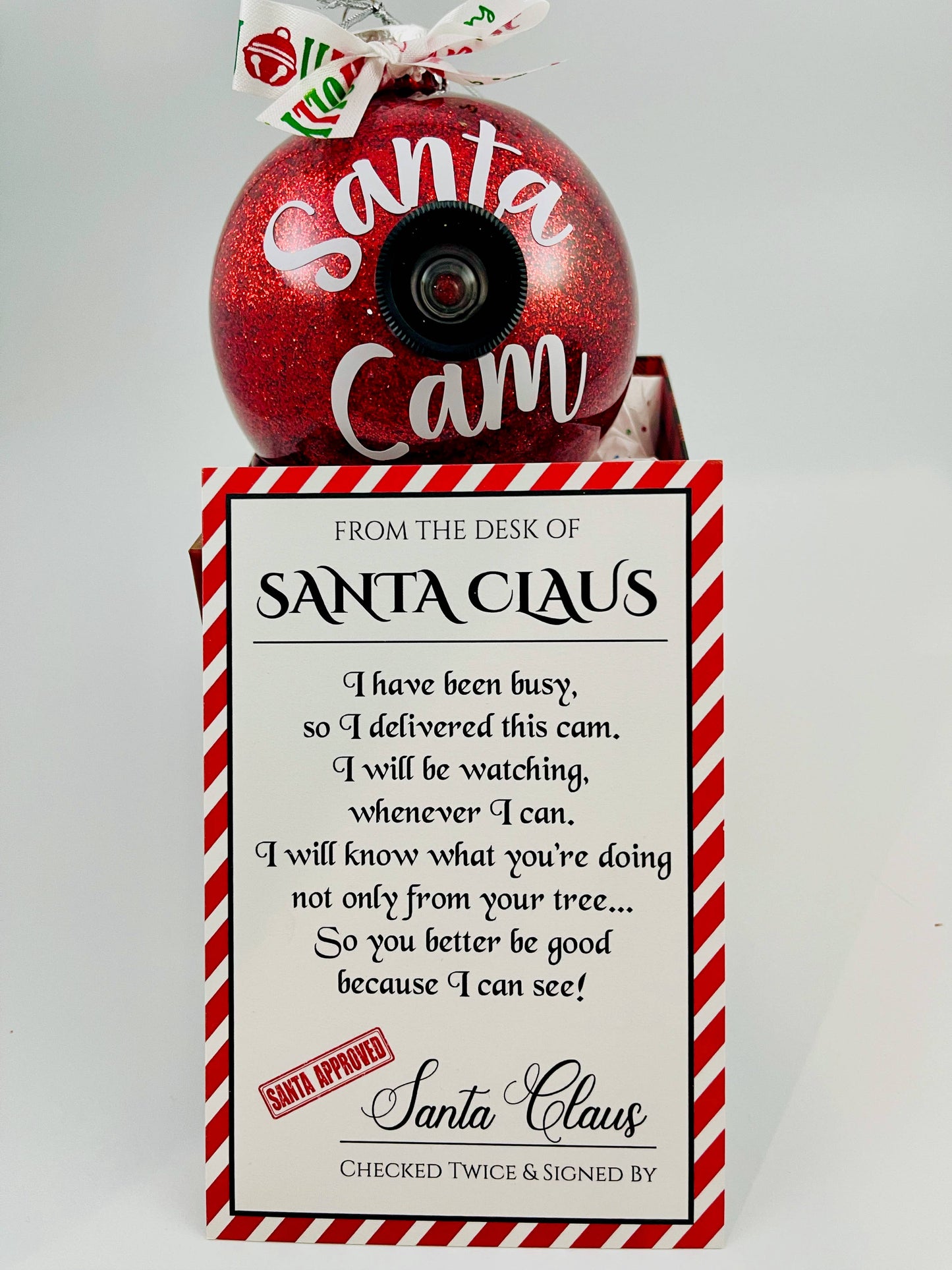 Santa Cam Christmas Ornament