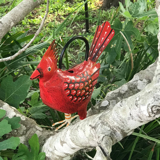 Cathy The Christmas Cardinal Plant Pals Water Can