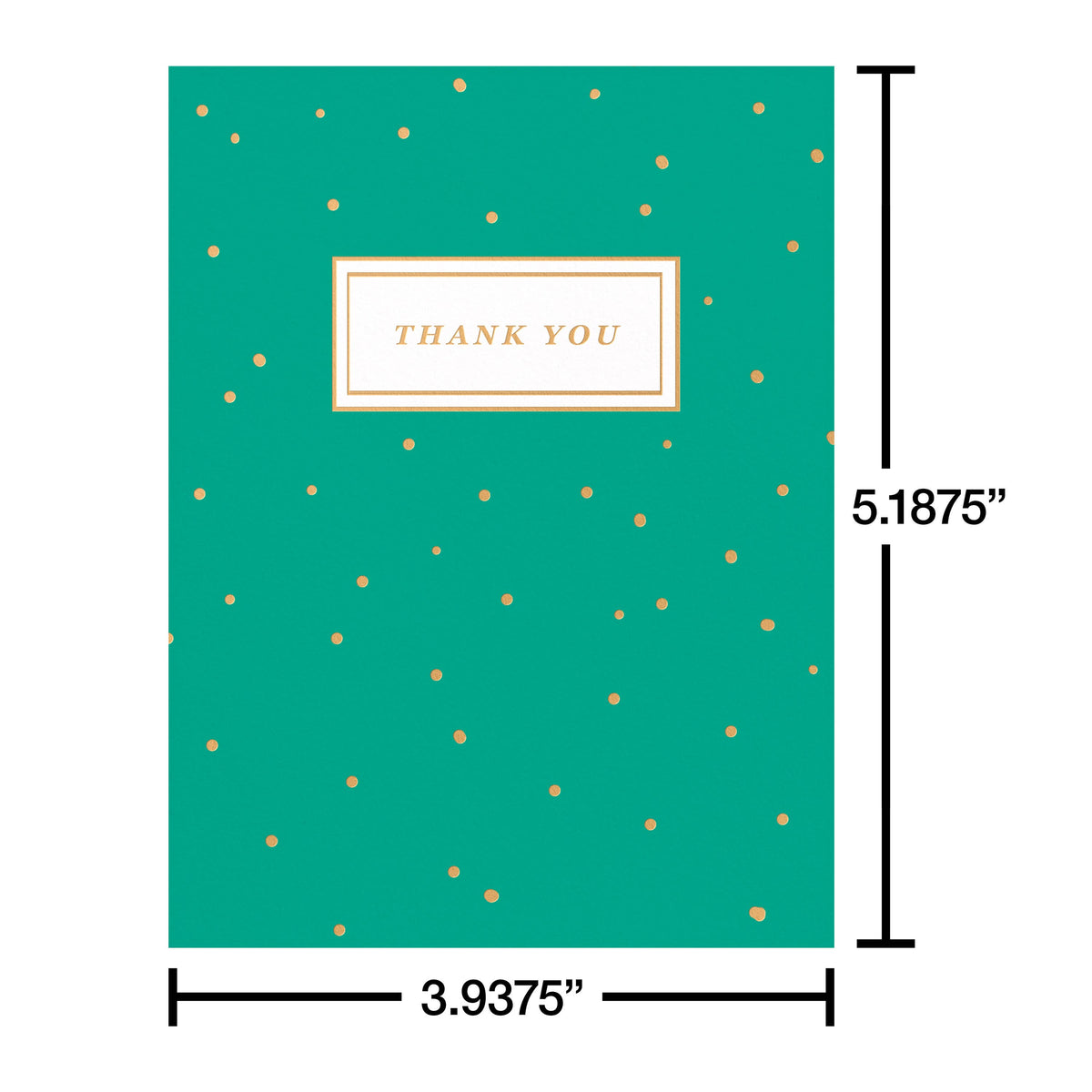 Thank You Card Stationery Notes, Dots on Green (10-Count)